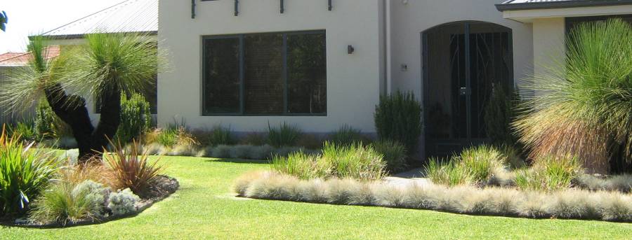 Grasstrees Australia | Premium Provider of Quality Native Plants in