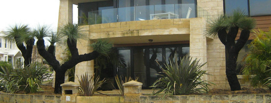 Grasstrees Australia | Premium Provider of Quality Native